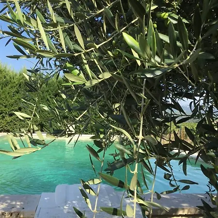 Appartement Les De Grand Pere Jules *